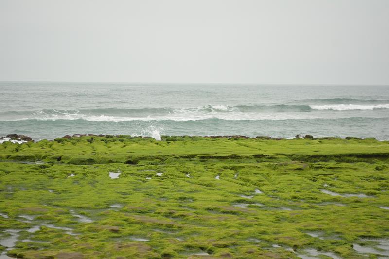 DSC_0400 (Copy).JPG DSC_0400 (Copy).JPG