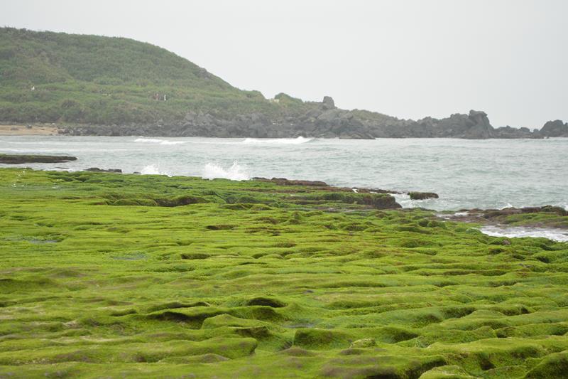 DSC_0402 (Copy).JPG DSC_0402 (Copy).JPG