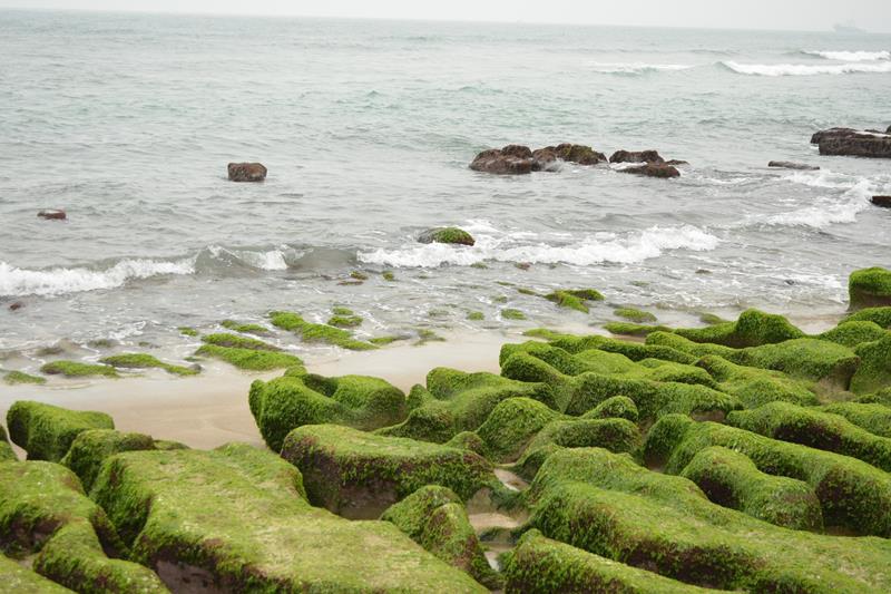 DSC_0381 (Copy).JPG DSC_0381 (Copy).JPG