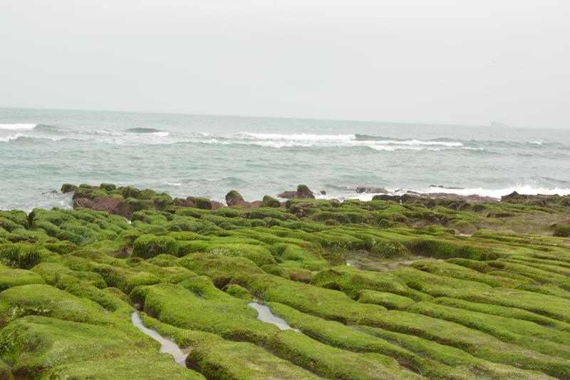 DSC_0423 (Copy).JPG DSC_0423 (Copy).JPG