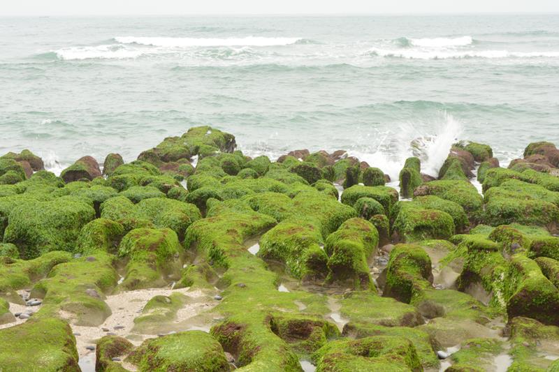 DSC_0419 (Copy).JPG DSC_0419 (Copy).JPG