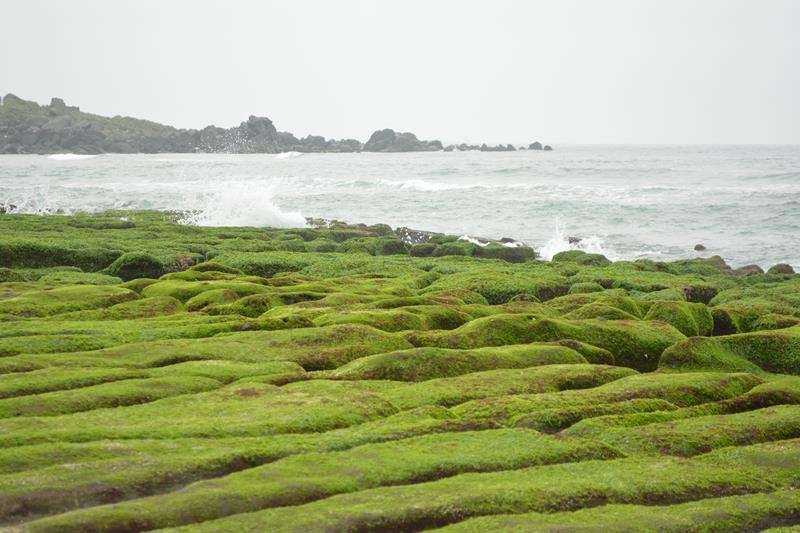 DSC_0428 (Copy).JPG DSC_0428 (Copy).JPG