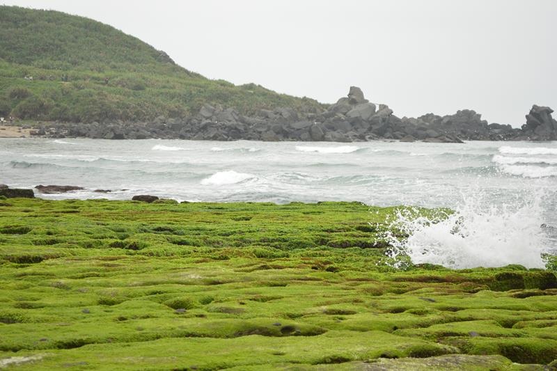 DSC_0396 (Copy).JPG DSC_0396 (Copy).JPG