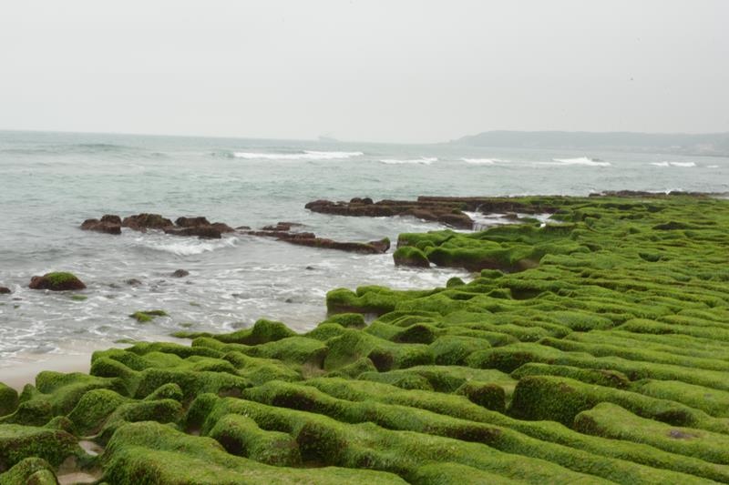 DSC_0383 (Copy).JPG DSC_0383 (Copy).JPG