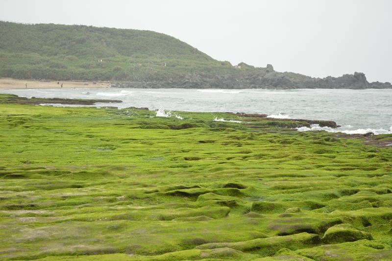 DSC_0401 (Copy).JPG DSC_0401 (Copy).JPG