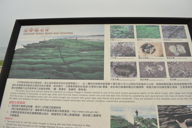 DSC_0369 (Copy).JPG DSC_0369 (Copy).JPG