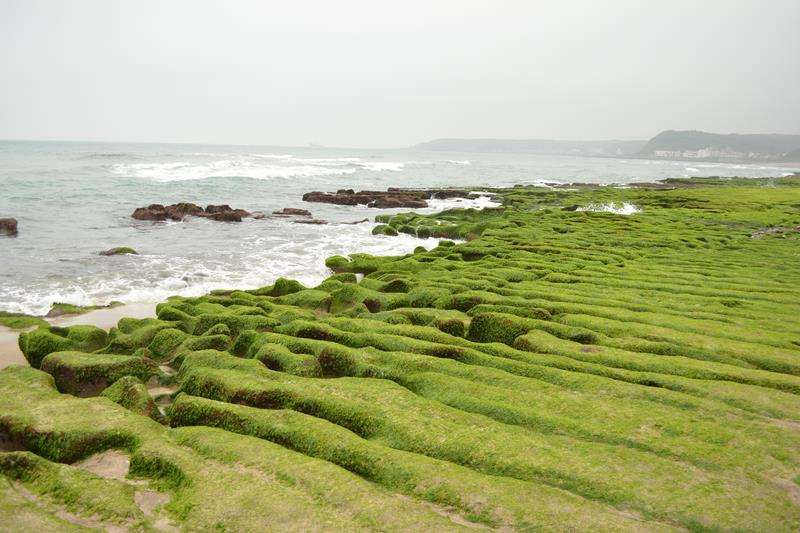 DSC_0373 (Copy).JPG DSC_0373 (Copy).JPG