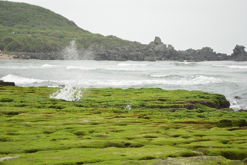 DSC_0395 (Copy).JPG DSC_0395 (Copy).JPG