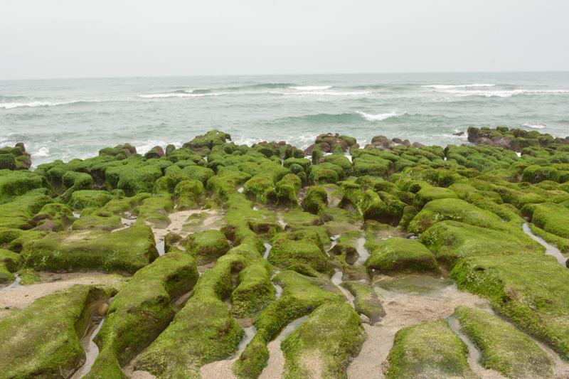 DSC_0417 (Copy).JPG DSC_0417 (Copy).JPG