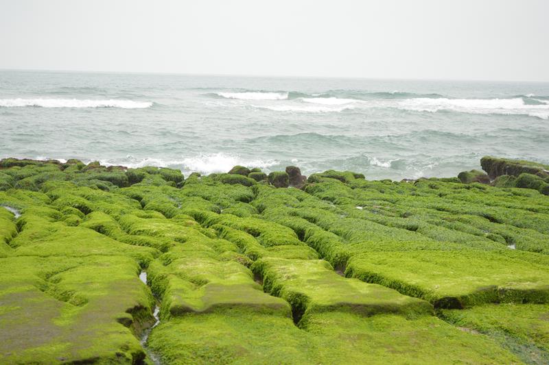 DSC_0405 (Copy).JPG DSC_0405 (Copy).JPG