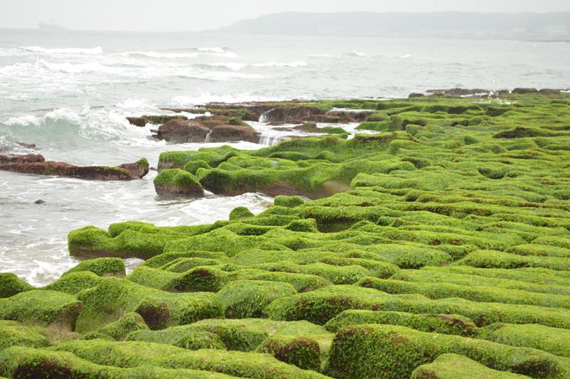 DSC_0374 (Copy).JPG DSC_0374 (Copy).JPG