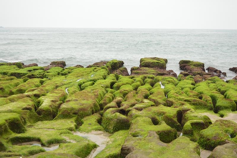 DSC_0398 (Copy).JPG DSC_0398 (Copy).JPG