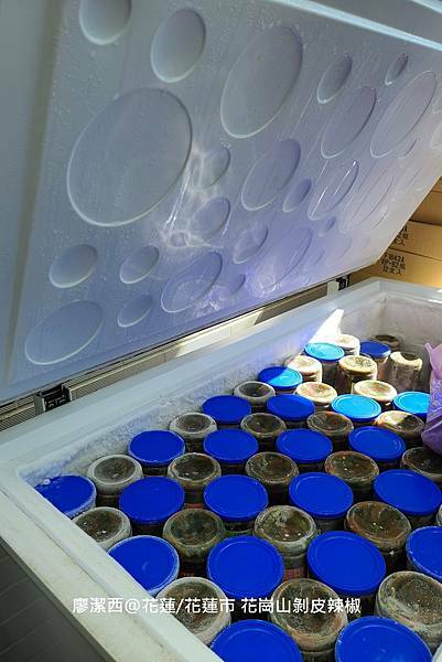 【花蓮/花蓮市】花崗山剝皮辣椒