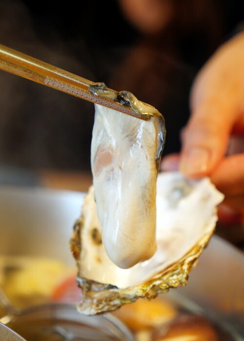 【中壢美食】藏王極上鍋物．頂級肉品+無毒蔬菜+飲品喝到飽+美味甜點!