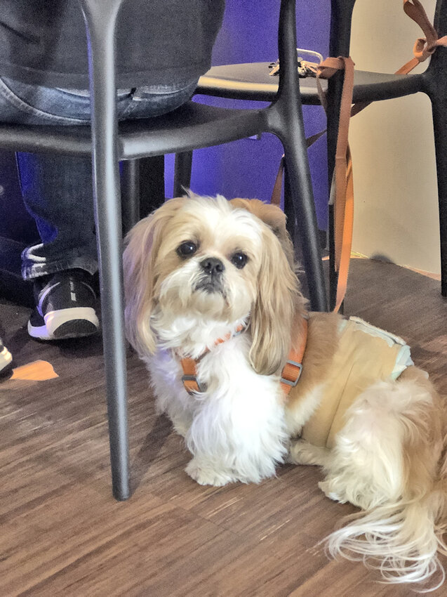 中和國民小學周邊美食,中和怡和醫院,連城停車場,中和帝王蟹,中和海鮮套餐,中和活體海鮮,中和站活體海鮮,中和 龍蝦,錦和運動公園美食