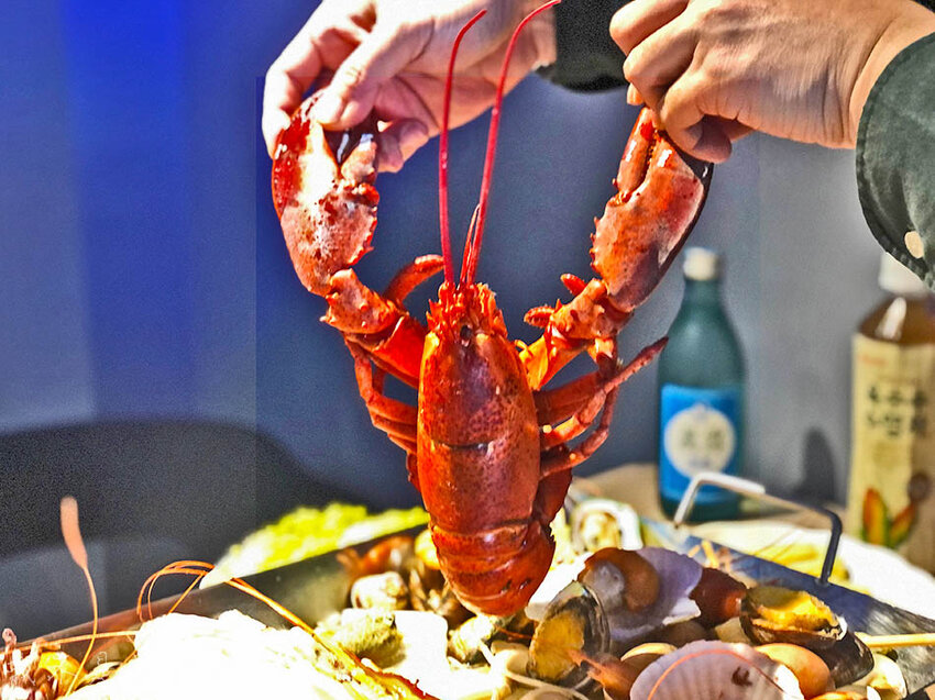 捷運中和站美食,中和站火鍋,中和站韓式,新北韓式料理,中和站痛風鍋,中和站龍蝦,中和站宵夜,中和站慶生,中和站居酒屋