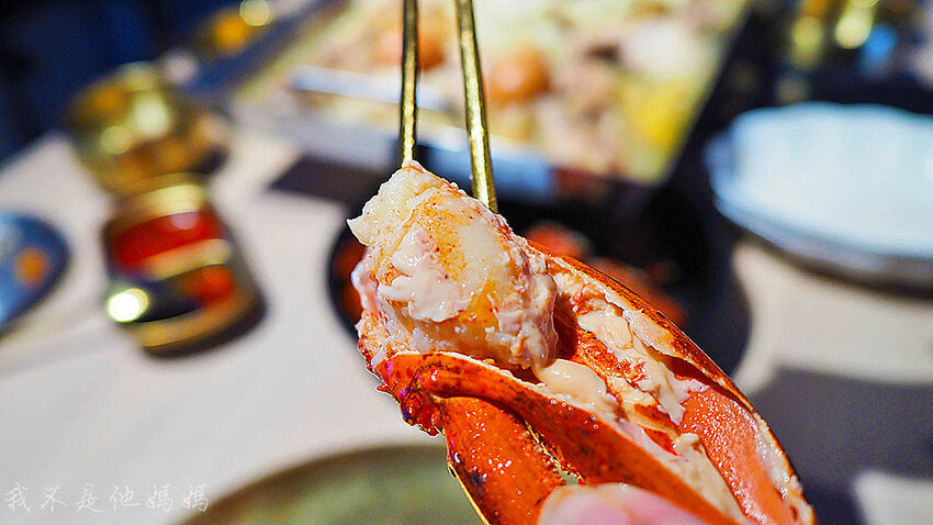 中和必吃美食,韓國首爾美食,一隻雞火鍋,中和龍蝦,中和慶生餐廳,中和包廂,中和寵物友善餐廳,中和站寵物友善餐廳,中和排隊美食,中和迪卡儂