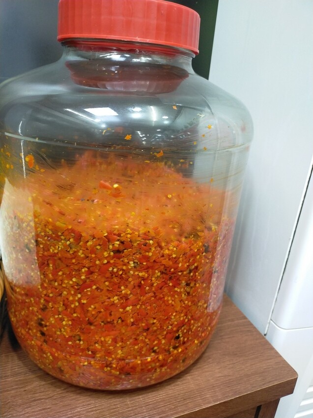 [新竹必吃美食推薦]新竹城隍廟人氣名店 阿桂羊牛雜#新竹必吃#新竹人氣美食#新竹美食#新竹城隍廟美食#新竹城