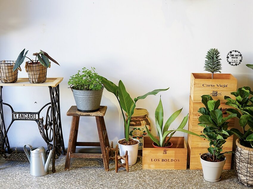 蘭 La Orquídea，隱藏在台中太平的甜點蛋糕店，新開幕必吃的下午茶甜點 - Cyndi loves享食天堂