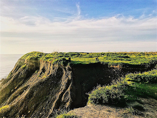 花蓮旅遊_39 花蓮旅遊_39