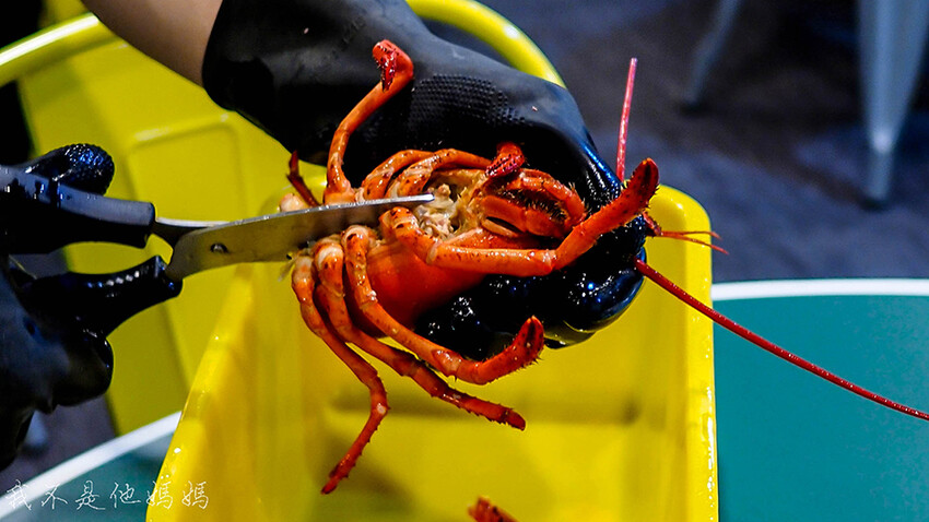 輔大韓式海鮮部隊鍋,新北韓式海鮮部隊鍋,新莊韓國冬粉,新莊韓國豆腐,韓劇部隊鍋,新莊母親節聚餐,新莊慶生,新莊謝師宴,新莊父親節餐廳
