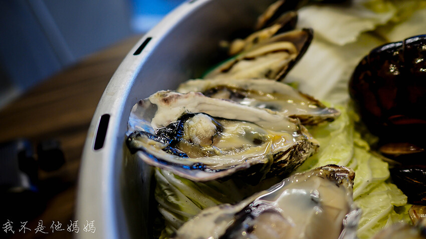 韓蚌蚌ptt,韓蚌蚌海鮮研究院ptt,韓蚌蚌海鮮研究院價錢,韓蚌蚌海鮮研究院評價,韓蚌蚌海鮮研究院隱藏版,韓蚌蚌海鮮研究院2020