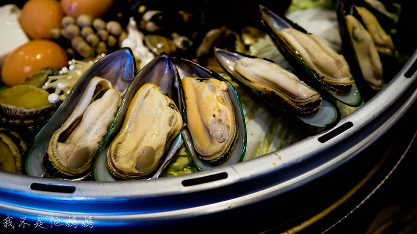 韓蚌蚌海鮮研究院分店,韓蚌蚌海鮮研究院2021,新莊蒸籠海鮮,輔大蒸籠海鮮,台北韓式火鍋,新莊韓式火鍋,輔大韓式火鍋,連鎖海鮮鍋,連鎖韓式