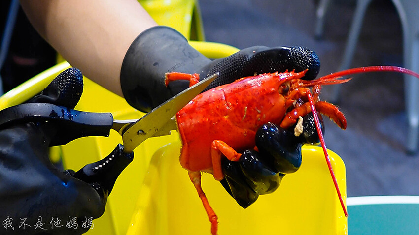 新莊人蔘雞,輔大人蔘雞,好吃人蔘雞推薦,台北人蔘雞,新莊生蠔,輔大生蠔,韓式海鮮部隊鍋,台北韓式海鮮部隊鍋,新莊韓式海鮮部隊鍋
