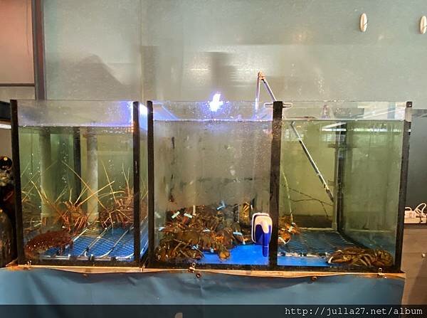 20220404_043901441_iOS-1