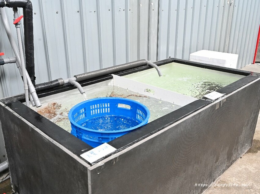 台中市南屯區菁選涮涮鍋｜台中南屯超強活體海鮮火鍋搬新家，帝王蟹大崩盤，錯過等明年！