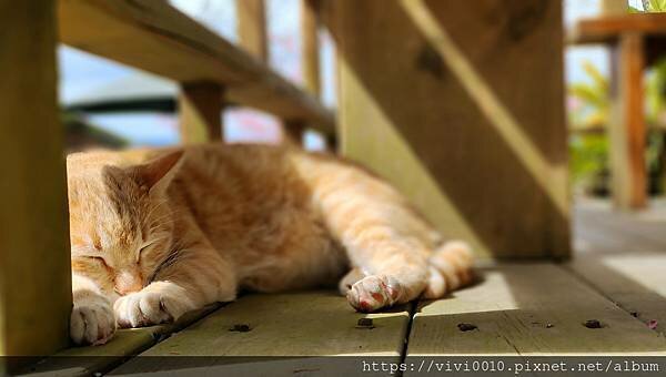 IMG_20220213_120628.jpg IMG_20220213_120628.jpg