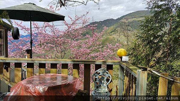 IMG_20220213_112430.jpg IMG_20220213_112430.jpg