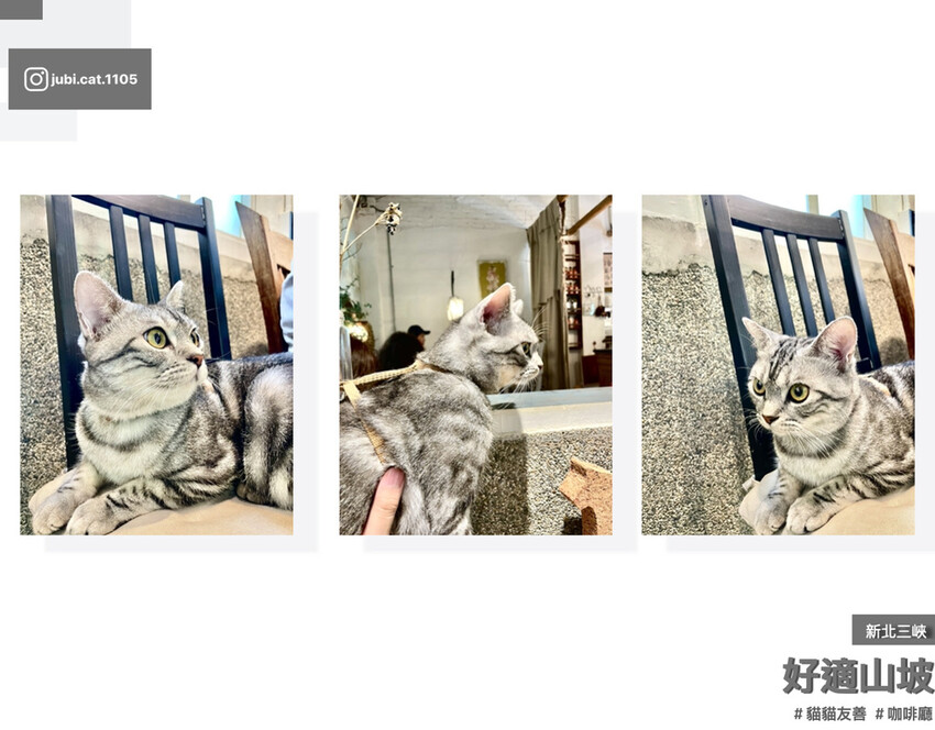 4potato_好適山坡.016.jpeg 4potato_好適山坡.016.jpeg