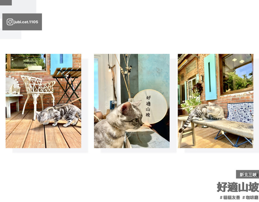 4potato_好適山坡.017.jpeg 4potato_好適山坡.017.jpeg