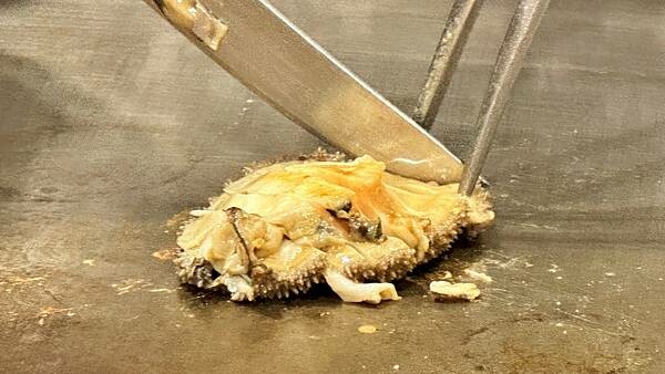 LINE_ALBUM__230131_44 LINE_ALBUM__230131_44