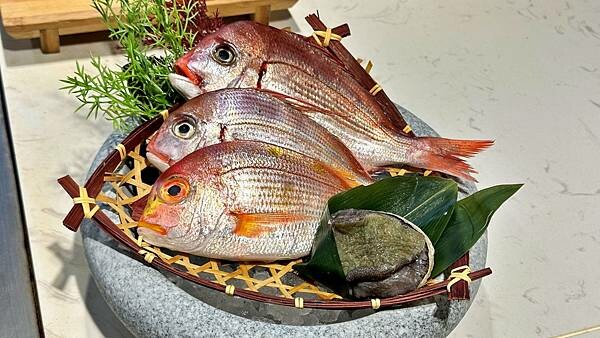 LINE_ALBUM__230131_127 LINE_ALBUM__230131_127