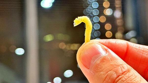 LINE_ALBUM_明水然_230131_6 LINE_ALBUM_明水然_230131_6