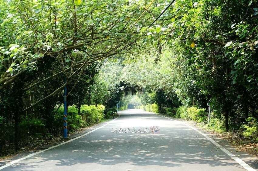 大同寶寶小虎隊陪你吃飯.懷舊復古小吃,彷彿回到小時候的眷村美食.中壢馬祖新村周邊美食推薦♥李家眷村小館♥