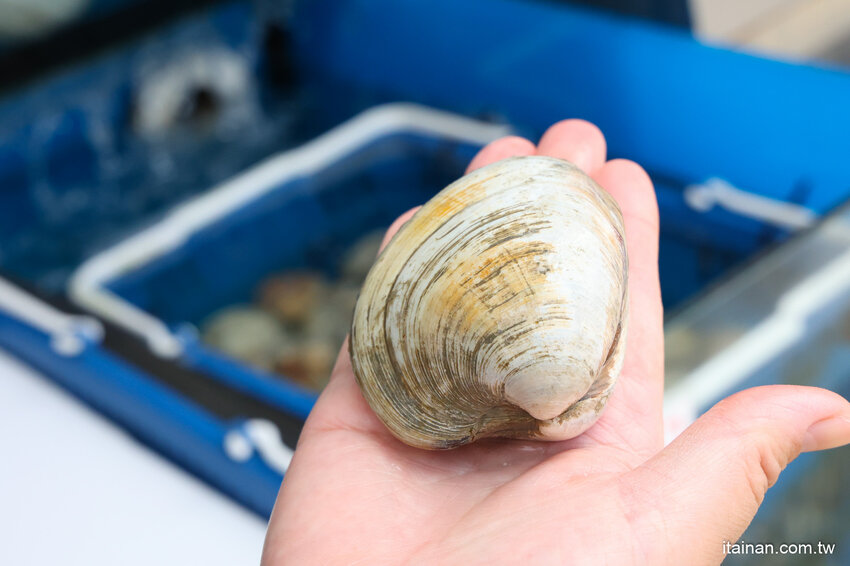 好吃又便宜!生魚片一片5元我還不吃爆!後壁湖海鮮必吃這家「後壁湖上安活海鮮」活跳跳生猛海鮮熱炒口味好、有專屬停車場 @台南好Food遊