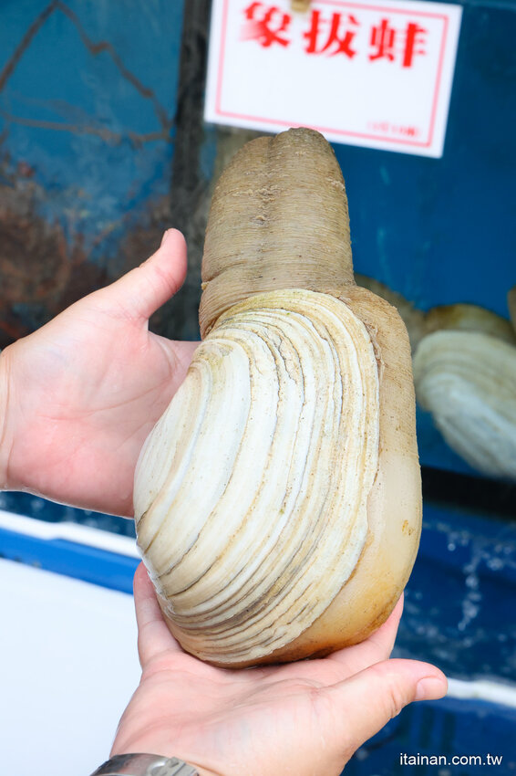 好吃又便宜!生魚片一片5元我還不吃爆!後壁湖海鮮必吃這家「後壁湖上安活海鮮」活跳跳生猛海鮮熱炒口味好、有專屬停車場 @台南好Food遊