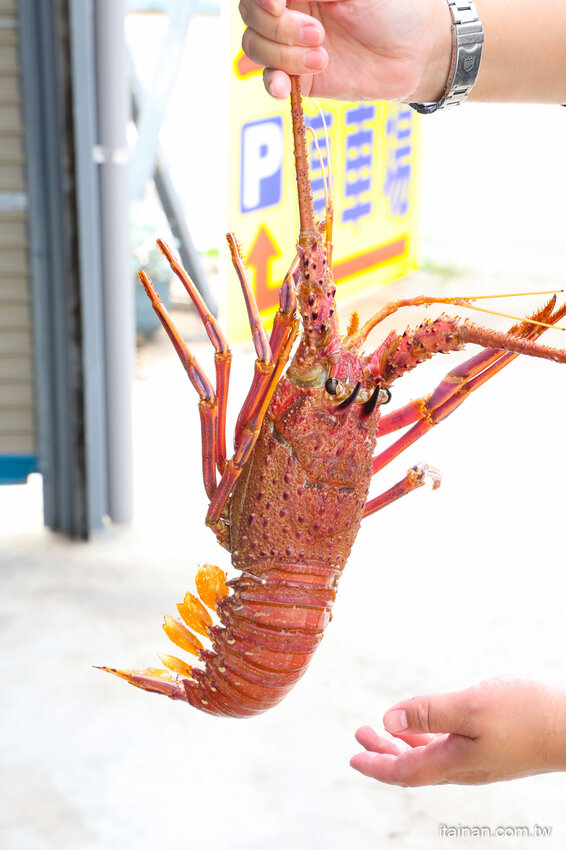 好吃又便宜!生魚片一片5元我還不吃爆!後壁湖海鮮必吃這家「後壁湖上安活海鮮」活跳跳生猛海鮮熱炒口味好、有專屬停車場 @台南好Food遊