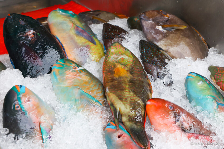 好吃又便宜!生魚片一片5元我還不吃爆!後壁湖海鮮必吃這家「後壁湖上安活海鮮」活跳跳生猛海鮮熱炒口味好、有專屬停車場 @台南好Food遊