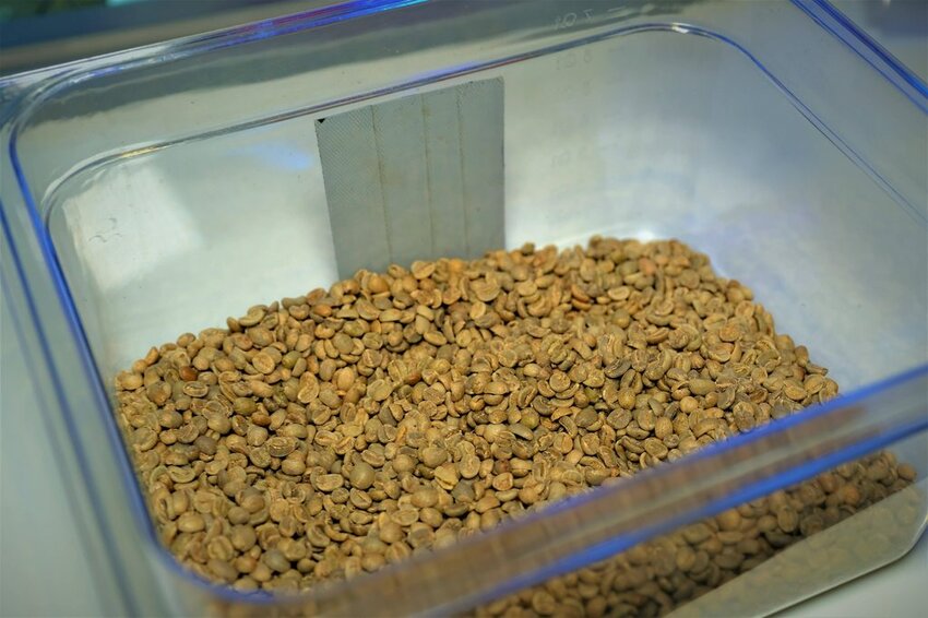 DYC Coffee 打咖啡