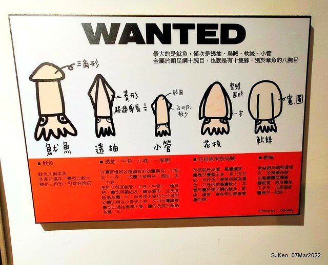 「小管的店小卷米粉專賣店」(Neritic Squid store), Taipei, Taiwan, SJKen,Mar 7, 2022.