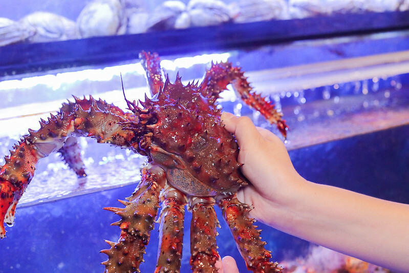 高雄｜覓奇頂級日本料理／鄰近高雄港埠旅運中心亞洲新灣區美食餐