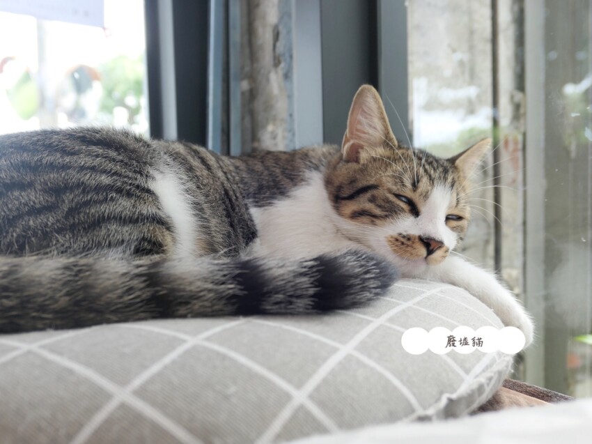 花蓮美食懶人包（2021/8/23更新，累計三十六間）｜合菜、咖啡廳、早午餐、小吃、異國料理、甜品