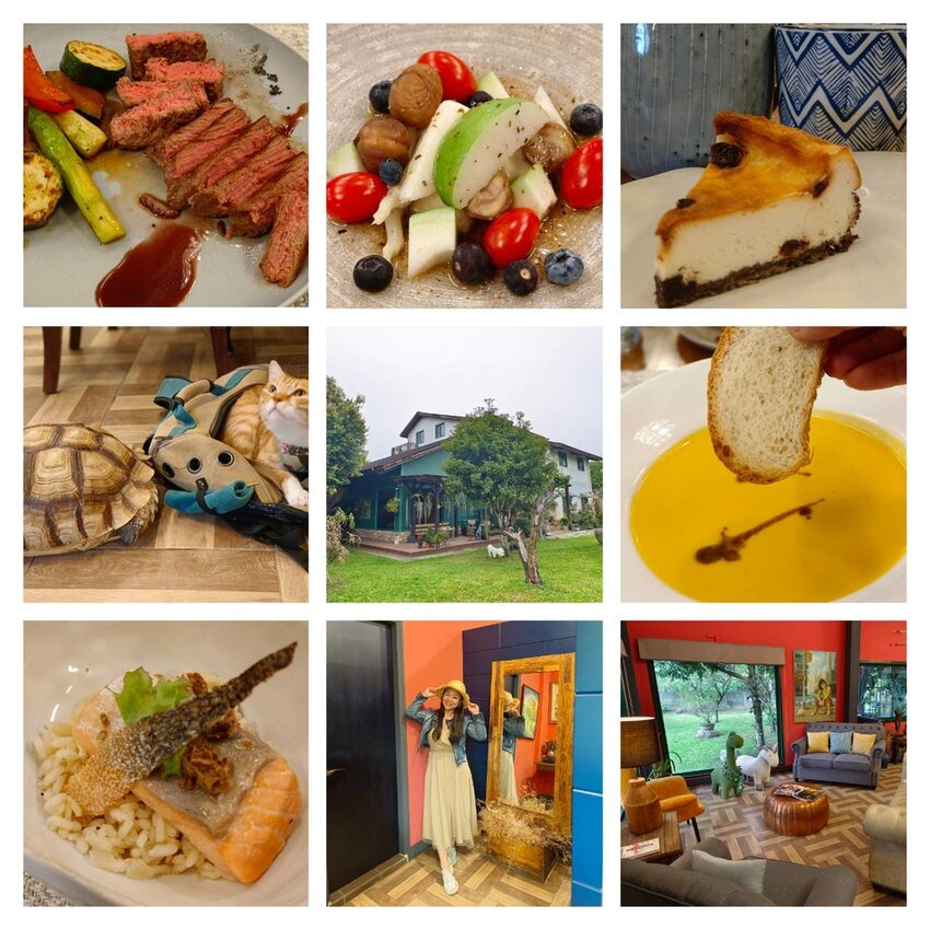 【桃園.平鎮】隱身別墅之中的私廚料理。山腳私廚友善寵物餐廳。一個餐期只接待一組顧客超尊榮體驗