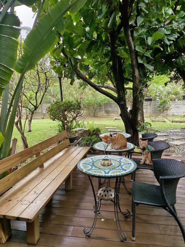 【桃園.平鎮】隱身別墅之中的私廚料理。山腳私廚友善寵物餐廳。一個餐期只接待一組顧客超尊榮體驗