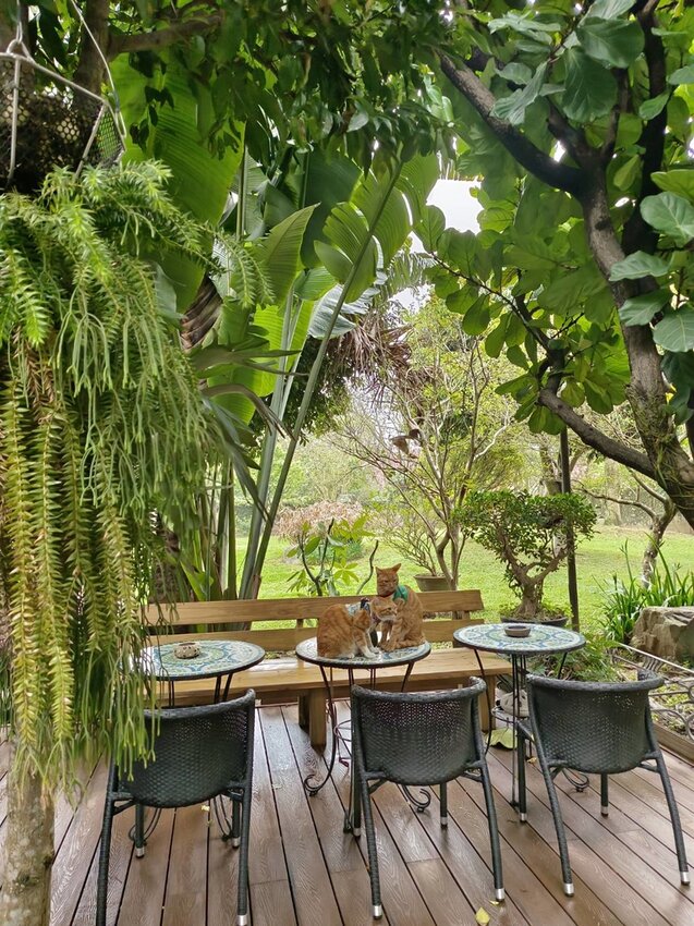 【桃園.平鎮】隱身別墅之中的私廚料理。山腳私廚友善寵物餐廳。一個餐期只接待一組顧客超尊榮體驗