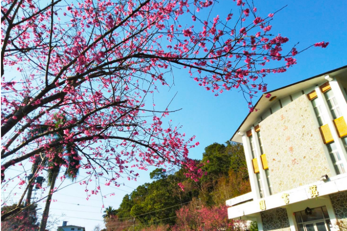 台灣火鍋第一品牌 – 肉多多火鍋高雄三多店 / 火鍋必吃名店 / 龍王麻辣鍋